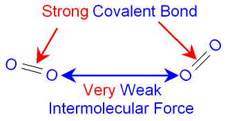 Intermolecular Forces