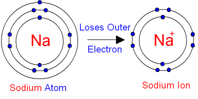 What type of ion forms when an atom loses electrons?