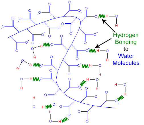 Hydrogel showing Hydrogen Bonding