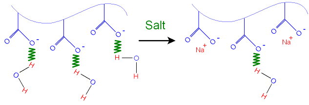 Hydrogel and Salt