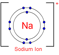 Sodium Ion