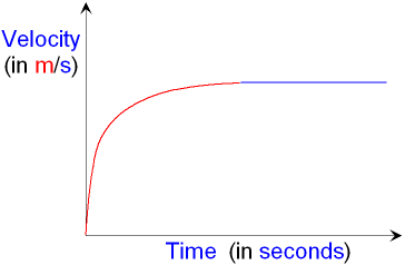 Velocity - Time Graph for a Falling Object