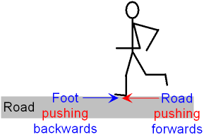 Forces on a Person Walking