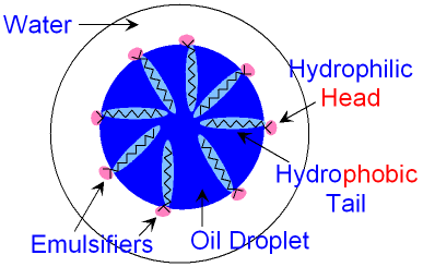 GCSE CHEMISTRY - What is an Emulsifier? - How does an Emulsifier work? -  What are Hydrophilic and Hydrophobic Molecules? - GCSE SCIENCE.