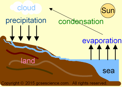 The Water Cycle